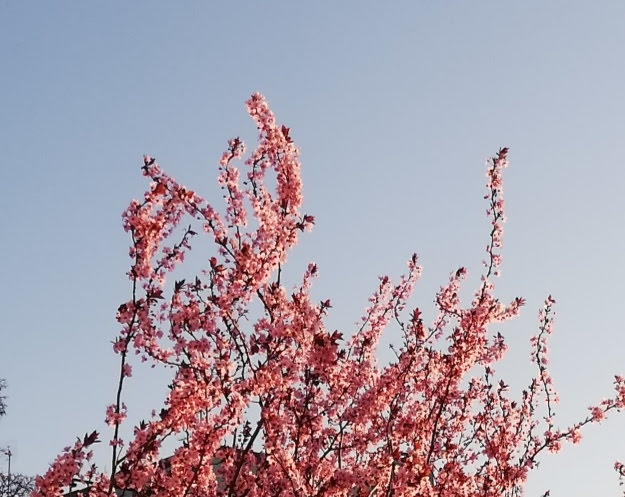 Blogbeitrag 3