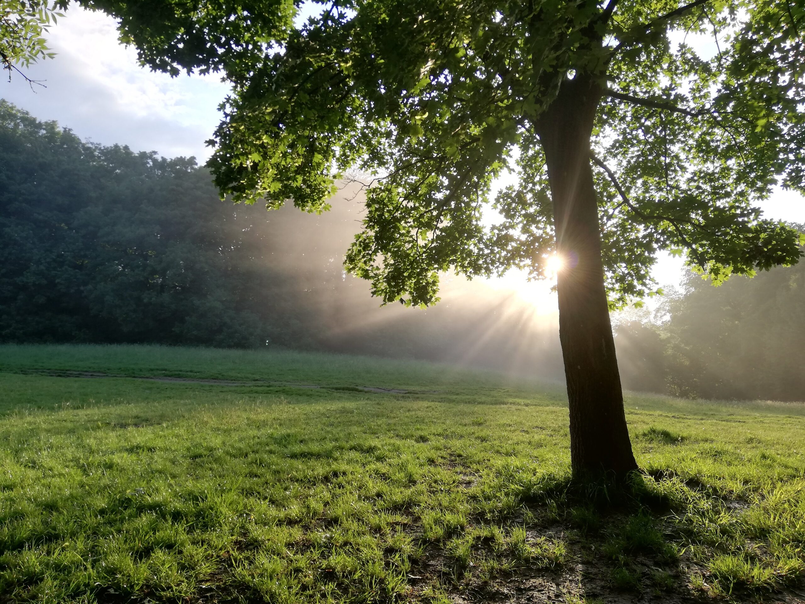 Blogbeitrag 4