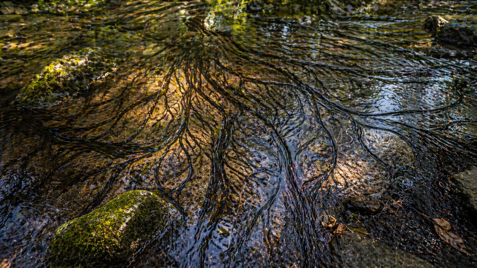 Abstraktionen und Modelle – wasser