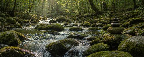 Regeln, die nicht vereinfachen – sondern handlungsfähig machen – TEST
